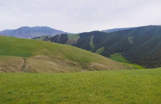 Sangke Grassland