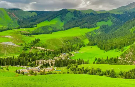 china-xinjiang-tour-with-narat-grassland