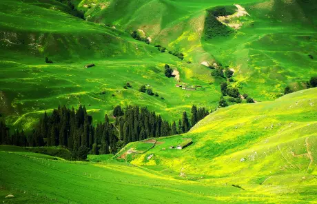 Northern Xinjiang tour to Narat grassland