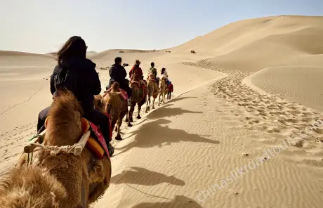 silk-road-journey-camel-riding-in-desert