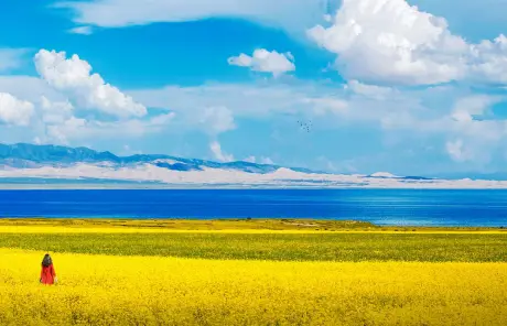 Visit Qinghai Lake on Silk Road