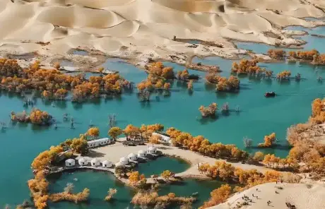 Xinjiang trip to Populus Euphratica forest